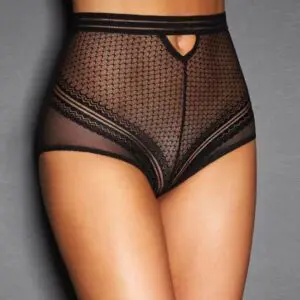 Sexy Sheer Mesh High Waist Briefs Knickers